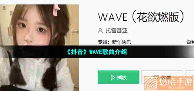 《抖音》WAVE歌曲介绍