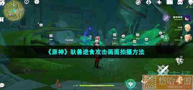 《<a href=https://www.wxsxzz.cn/game/627.html target=_blank class=infotextkey>原神</a>》驮兽进食攻击画面拍摄方法