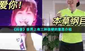 《抖音》世界上有三种孩梗的意思介绍