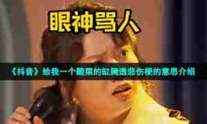 《抖音》给我一个酸菜的缸腌透悲伤梗的意思介绍