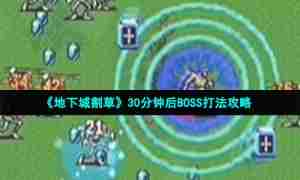 《地下城割草》30分钟后BOSS打法攻略