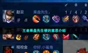 王者果盘先生梗的意思介绍