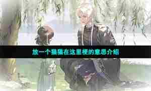 放一个猫猫在这里梗的意思介绍