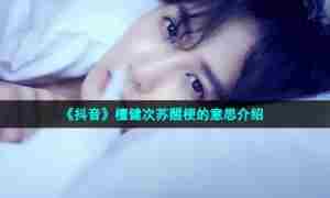 《抖音》檀健次苏醒梗的意思介绍