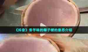 《抖音》香芋味的椰子梗的意思介绍