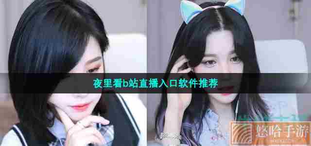 夜里看b站直播入口软件推荐