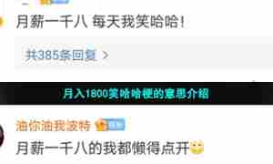 月入1800笑哈哈梗的意思介绍
