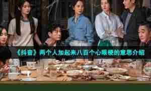 《抖音》两个人加起来八百个心眼梗的意思介绍