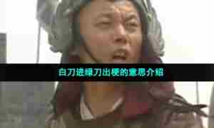 白刀进绿刀出梗的意思介绍