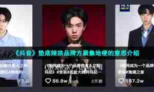 《抖音》垫底辣孩品牌方聚集地梗的意思介绍