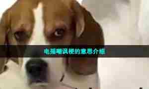 电摇嘲讽梗的意思介绍