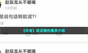 《抖音》胶泥梗的意思介绍