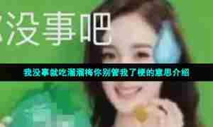 我没事就吃溜溜梅你别管我了梗的意思介绍