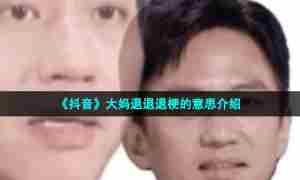 《抖音》大妈退退退梗的意思介绍