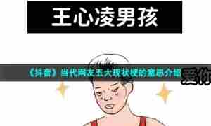 《抖音》当代网友五大现状梗的意思介绍