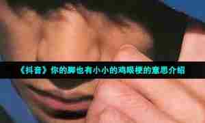 《抖音》你的脚也有小小的鸡眼梗的意思介绍