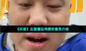 《抖音》左旋溜达鸡梗的意思介绍