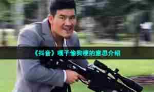 《抖音》嘎子偷狗梗的意思介绍