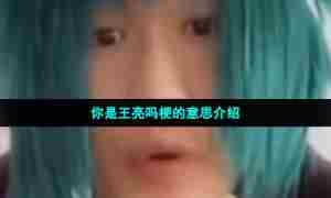 你是王亮吗梗的意思介绍