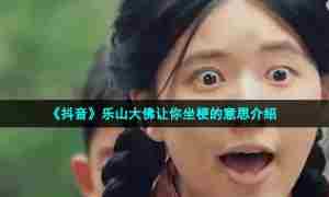 《抖音》乐山大佛让你坐梗的意思介绍