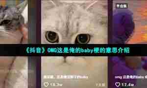 《抖音》OMG这是俺的baby梗的意思介绍