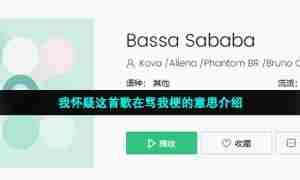 我怀疑这首歌在骂我梗的意思介绍