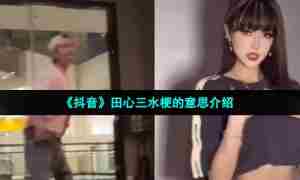 《抖音》田心三水梗的意思介绍