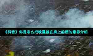 《抖音》你是怎么把晚霞披在肩上的梗的意思介绍
