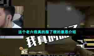 这个老六我真的服了梗的意思介绍