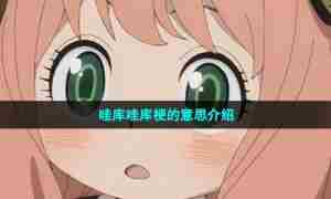 哇库哇库梗的意思介绍