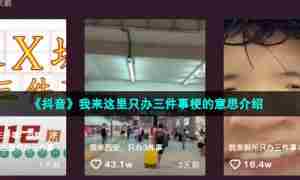 《抖音》我来这里只办三件事梗的意思介绍