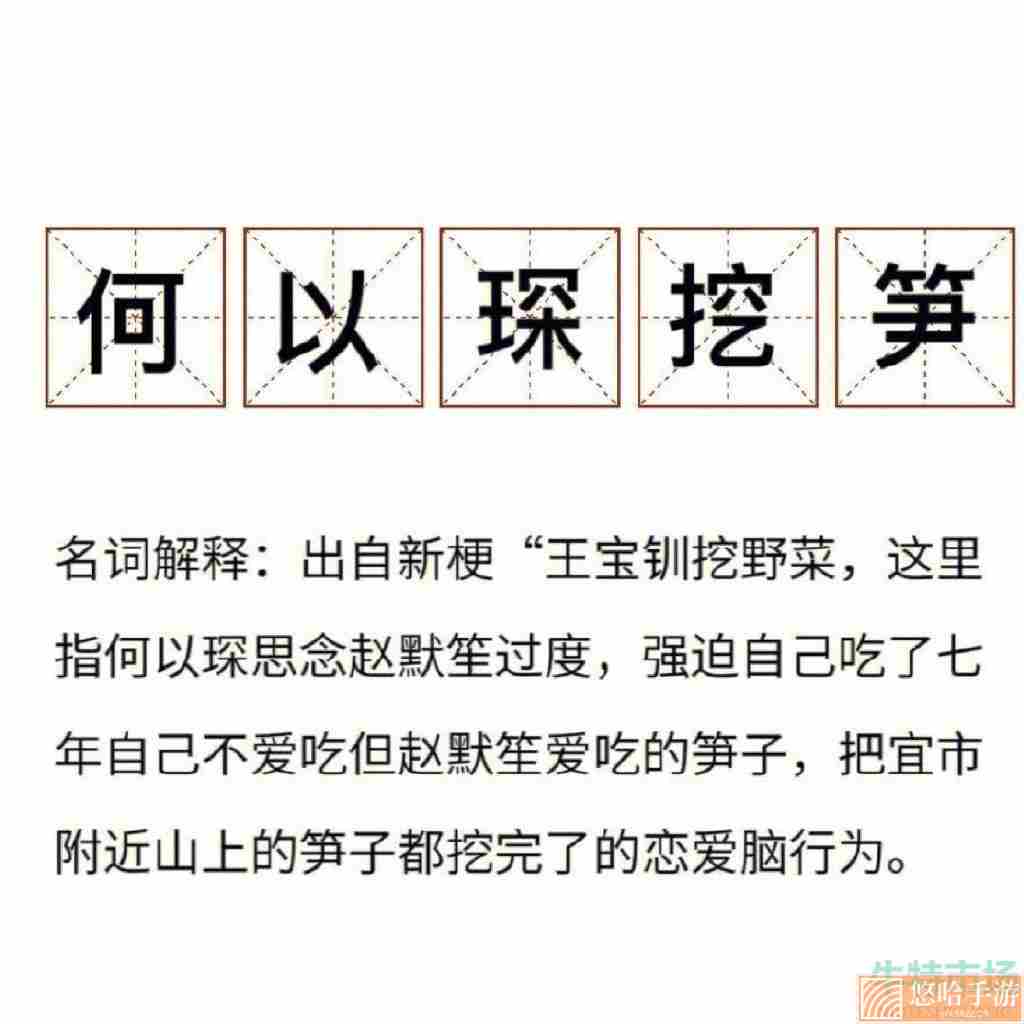 《抖音》何以笙挖笋梗的意思介绍