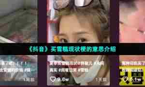 《抖音》买雪糕现状梗的意思介绍