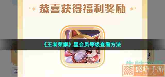 《<a href=https://www.wxsxzz.cn/game/2572.html target=_blank class=infotextkey><a href=https://www.wxsxzz.cn/game/5834.html target=_blank class=infotextkey>王者荣耀</a></a>》星会员等级查看方法