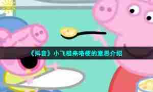 《抖音》小飞棍来咯梗的意思介绍