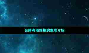 自律有限性梗的意思介绍
