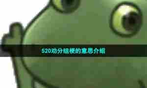 520劝分组梗的意思介绍