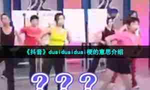 《抖音》duaiduaiduai梗的意思介绍