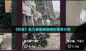 《抖音》张万森我刺挠梗的意思介绍