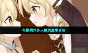 卑鄙的外乡人梗的意思介绍