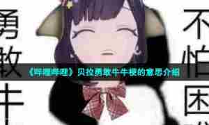 《哔哩哔哩》贝拉勇敢牛牛梗的意思介绍