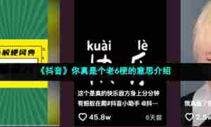 《抖音》你真是个老6梗的意思介绍