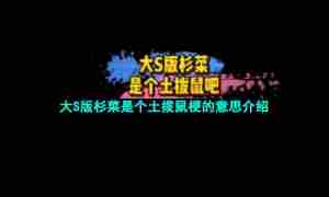 大S版杉菜是个土拨鼠梗的意思介绍