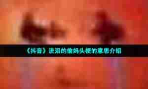 《抖音》流泪的偷妈头梗的意思介绍