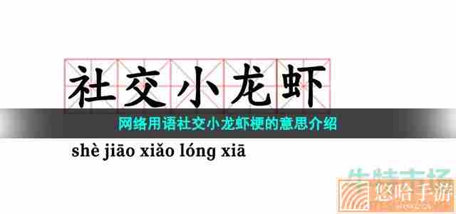 网络用语社交小龙虾梗的意思介绍