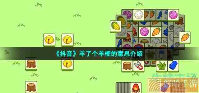 《抖音》<a href=https://www.wxsxzz.cn/game/2448.html target=_blank class=infotextkey>羊了个羊</a>梗的意思介绍