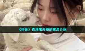 《抖音》荒漠屠夫梗的意思介绍