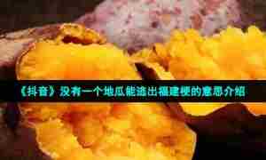 《抖音》没有一个地瓜能逃出福建梗的意思介绍