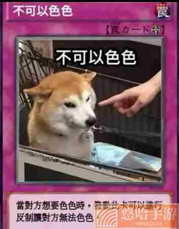 柴犬色色卡表情包大全