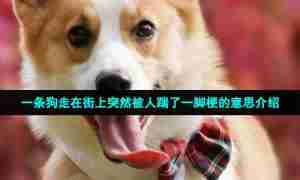 一条狗走在街上突然被人踹了一脚梗的意思介绍